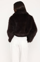 Glacial Chic Faux Fur Bomber Jacket Chocolate